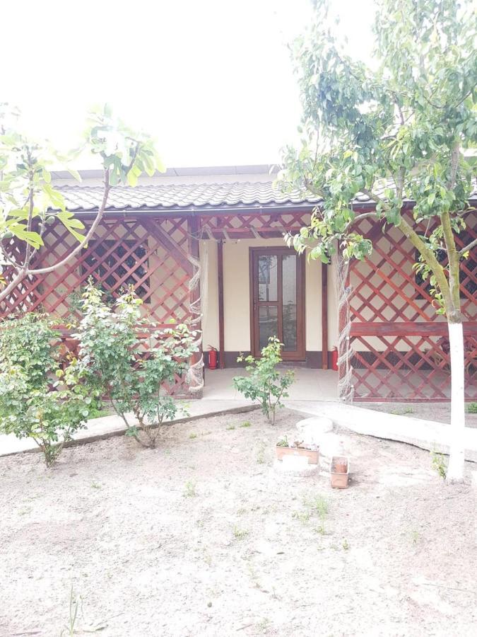 Casa Carter Hotel Сфинту Джордже Екстериор снимка